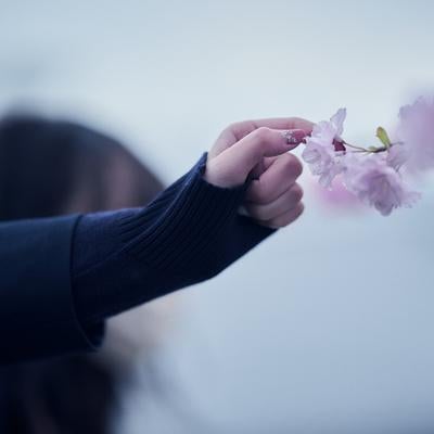桜の花びらを触る女性の手の写真