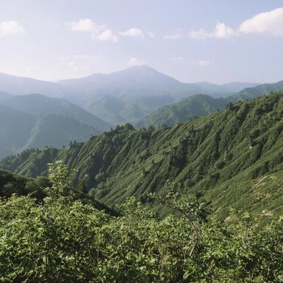 平ヶ岳登山道からみる尾瀬と燧ヶ岳の写真