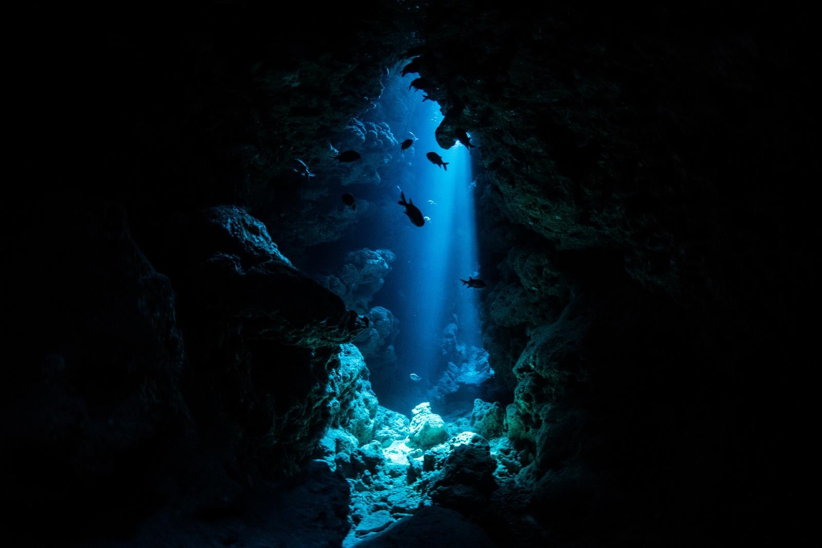 「瀬底島の幻想的なスポットライト」の写真