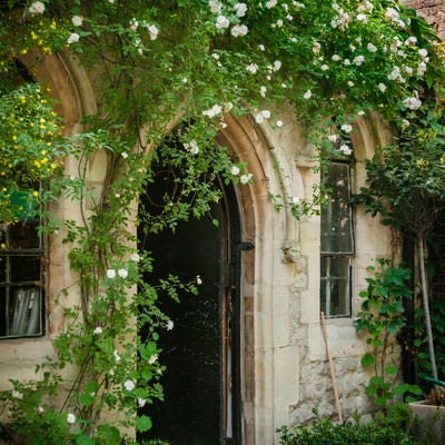 アーチ状に広がる白バラの庭壁の写真