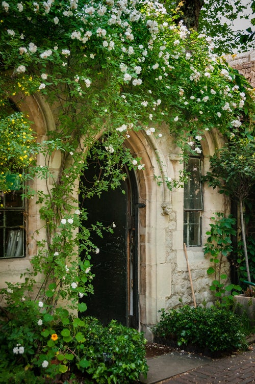 アーチ状に広がる白バラの庭壁の写真