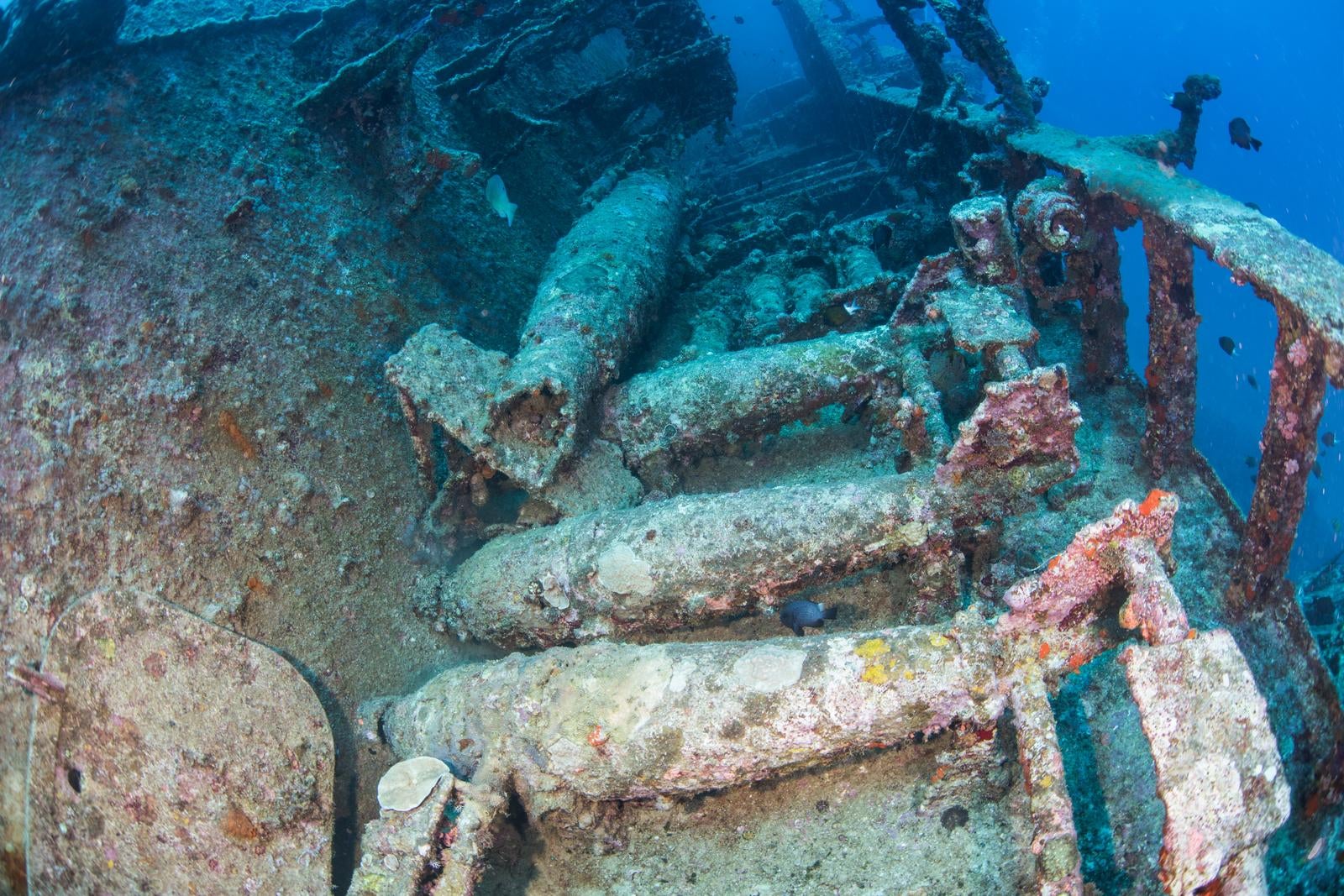 「第二次世界大戦で沈んだ軍艦「USSエモンズ」の魚雷」の写真