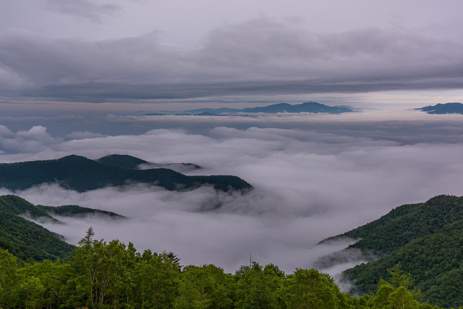 「美ヶ原と雲海」の写真