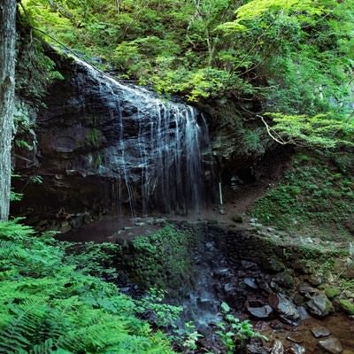 静かに流れ落ちる裏見の滝（岩井滝）と新緑の写真