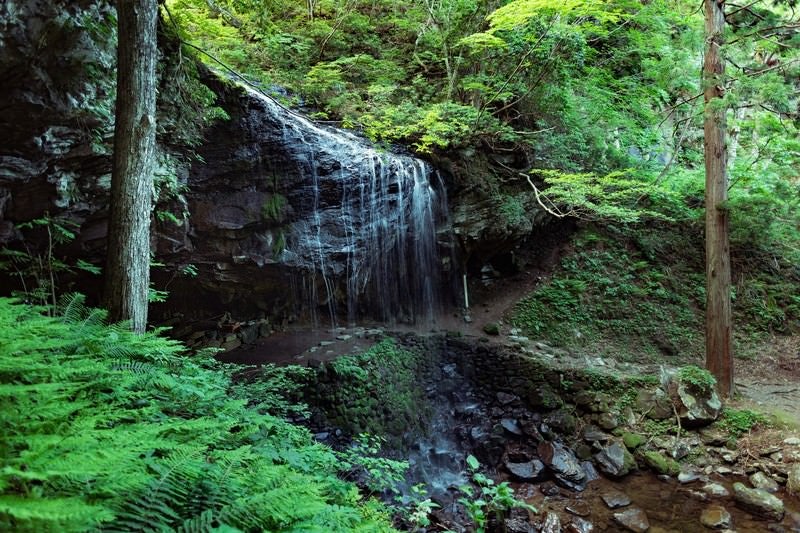 静かに流れ落ちる裏見の滝（岩井滝）と新緑の写真