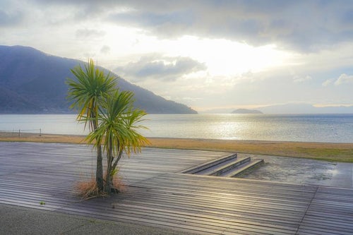 早朝のマキノサニービーチで迎える穏やかな琵琶湖の朝の写真