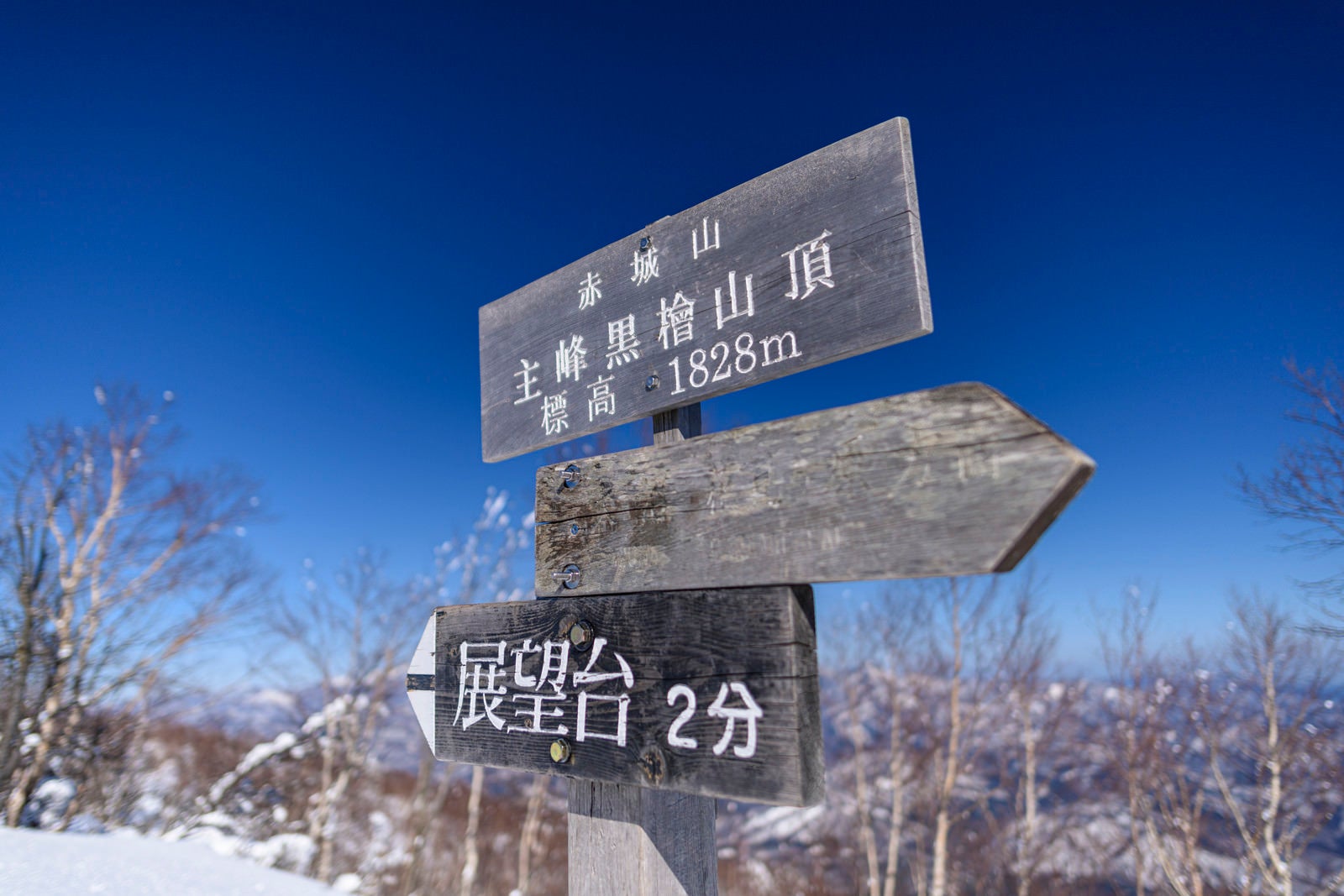 「赤城山最高峰山頂標」の写真