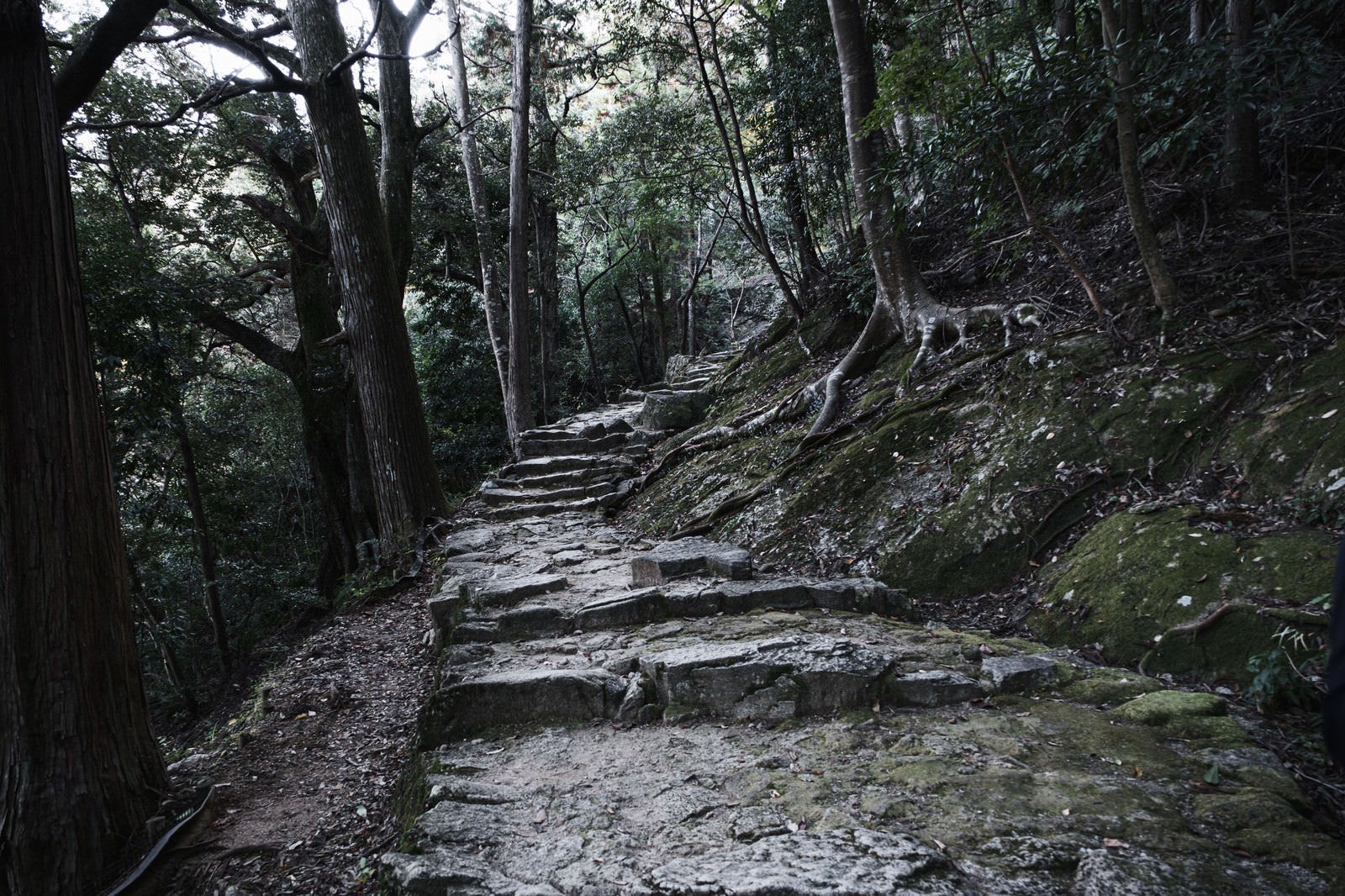 「神倉神社の長く続く石段」の写真
