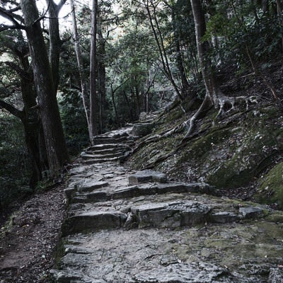 神倉神社の長く続く石段の写真
