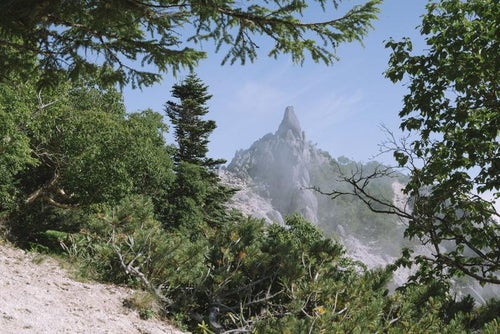 木々の隙間から見えるオベリスク（鳳凰三山）の写真