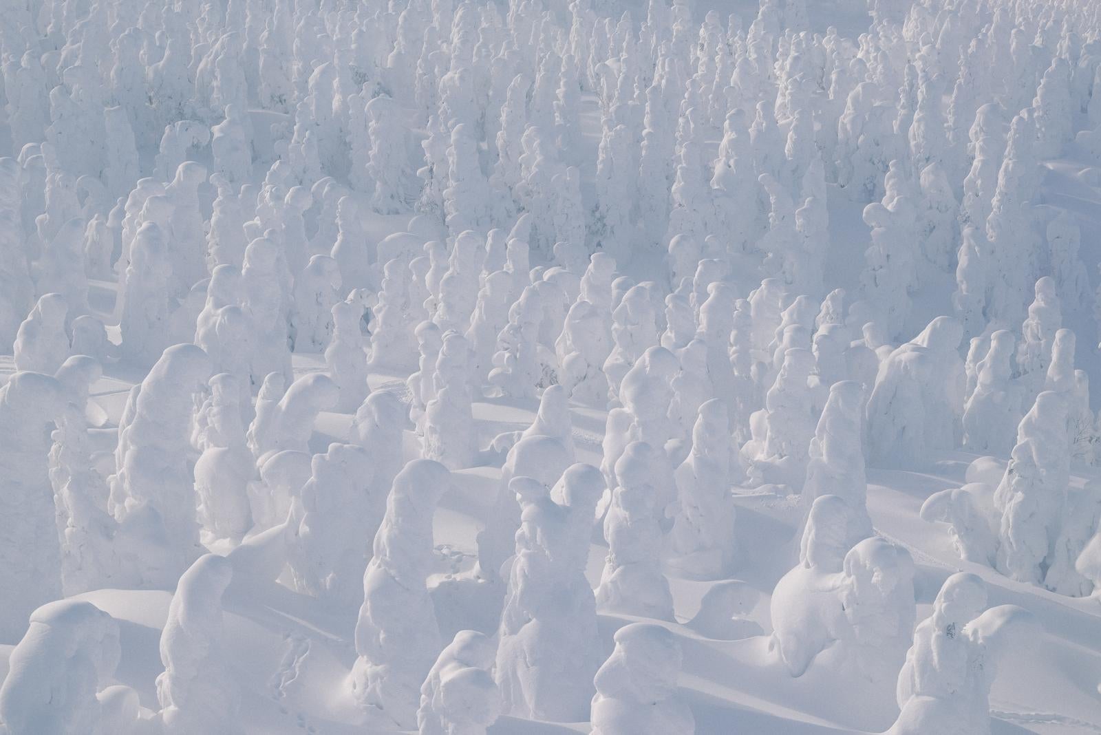 「巨大な樹氷がひしめく蔵王」の写真