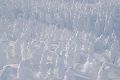 巨大な樹氷がひしめく蔵王の写真