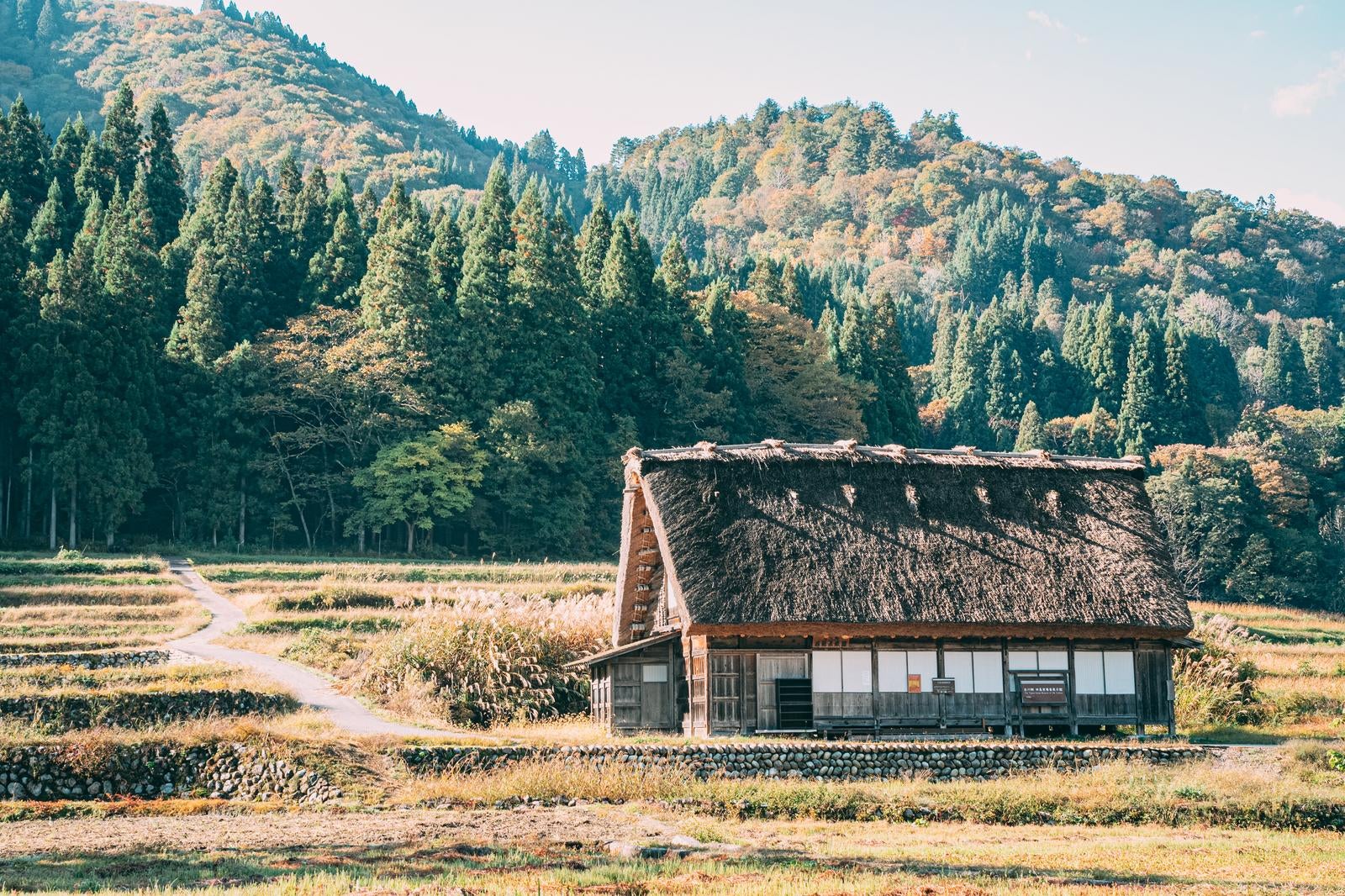 「岐阜県白川郷田園に建つ合掌作りの家」の写真