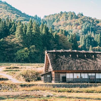 岐阜県白川郷田園に建つ合掌作りの家の写真