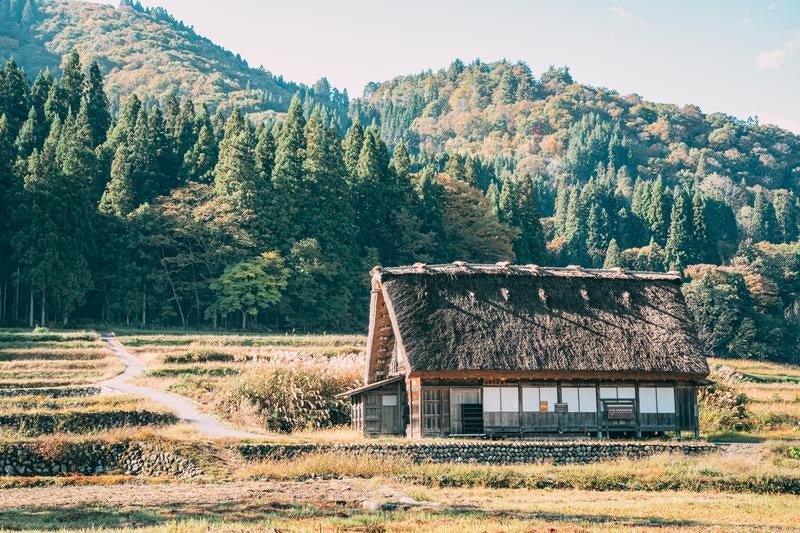 田園風景のカテゴリに関連する写真素材・AI画像素材58枚 - ぱくたそ