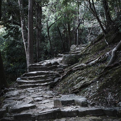 急勾配の石段（神倉神社）の写真