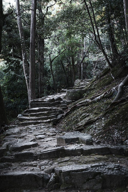 急勾配の石段（神倉神社）の写真