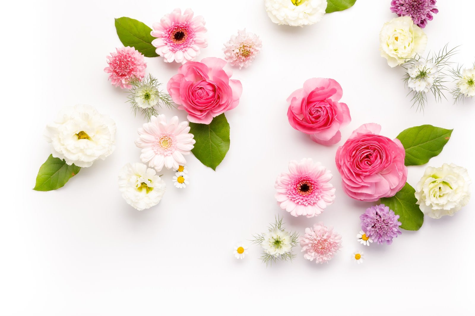 「お花のストックフォト」の写真