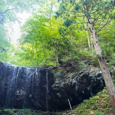 岩井滝と6月中旬の緑の写真