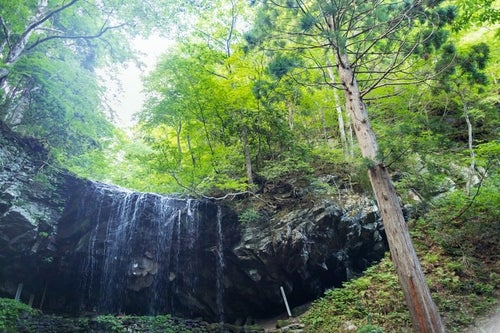岩井滝と6月中旬の緑の写真