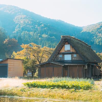岐阜県白川郷田園に建つ合掌作りの家の写真