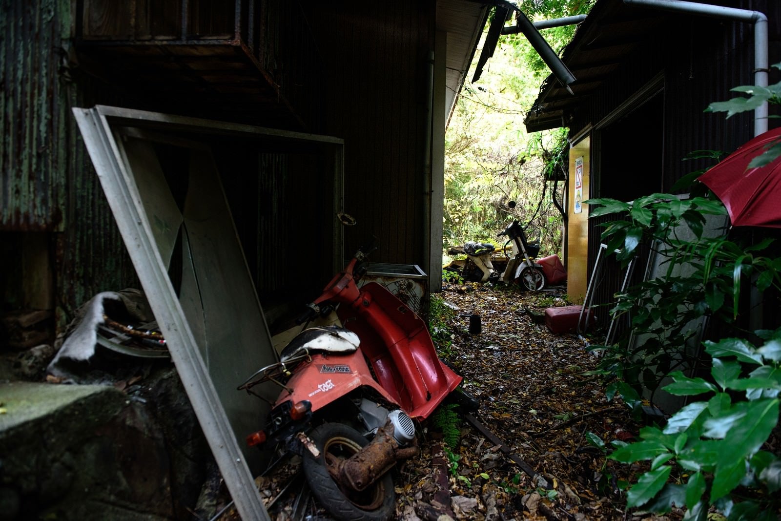 「捨てられたバイクと家」の写真