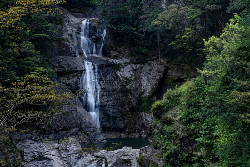 大杉谷の滝（大台ヶ原大杉谷ルート）の写真
