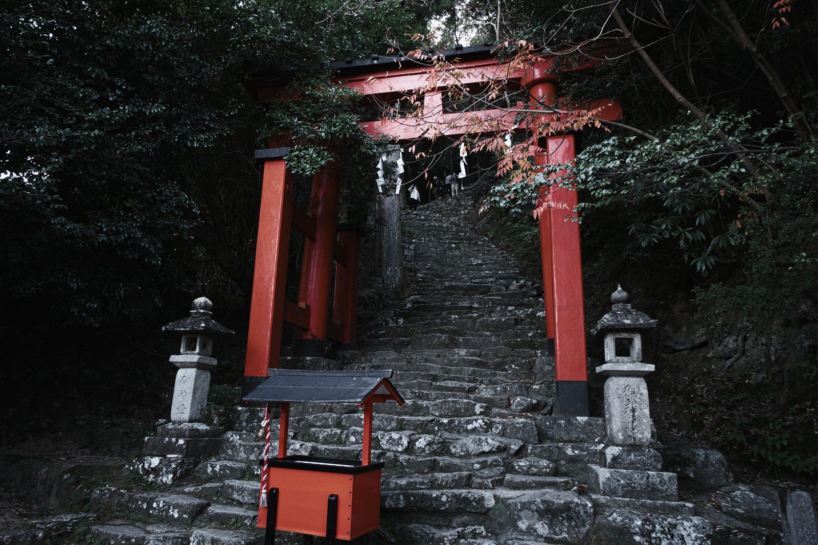 「神倉神社の鳥居と石段（和歌山県新宮市）」の写真