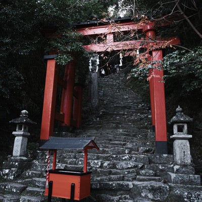 神倉神社の鳥居と石段（和歌山県新宮市）の写真