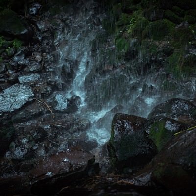 岩井滝の水が滴る岩場の写真