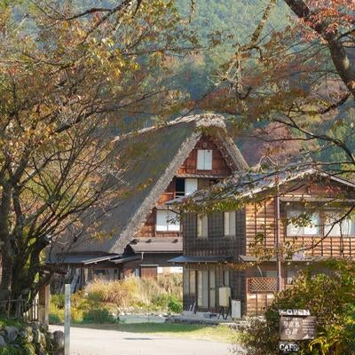 秋の岐阜県白川郷合掌造りの家の写真
