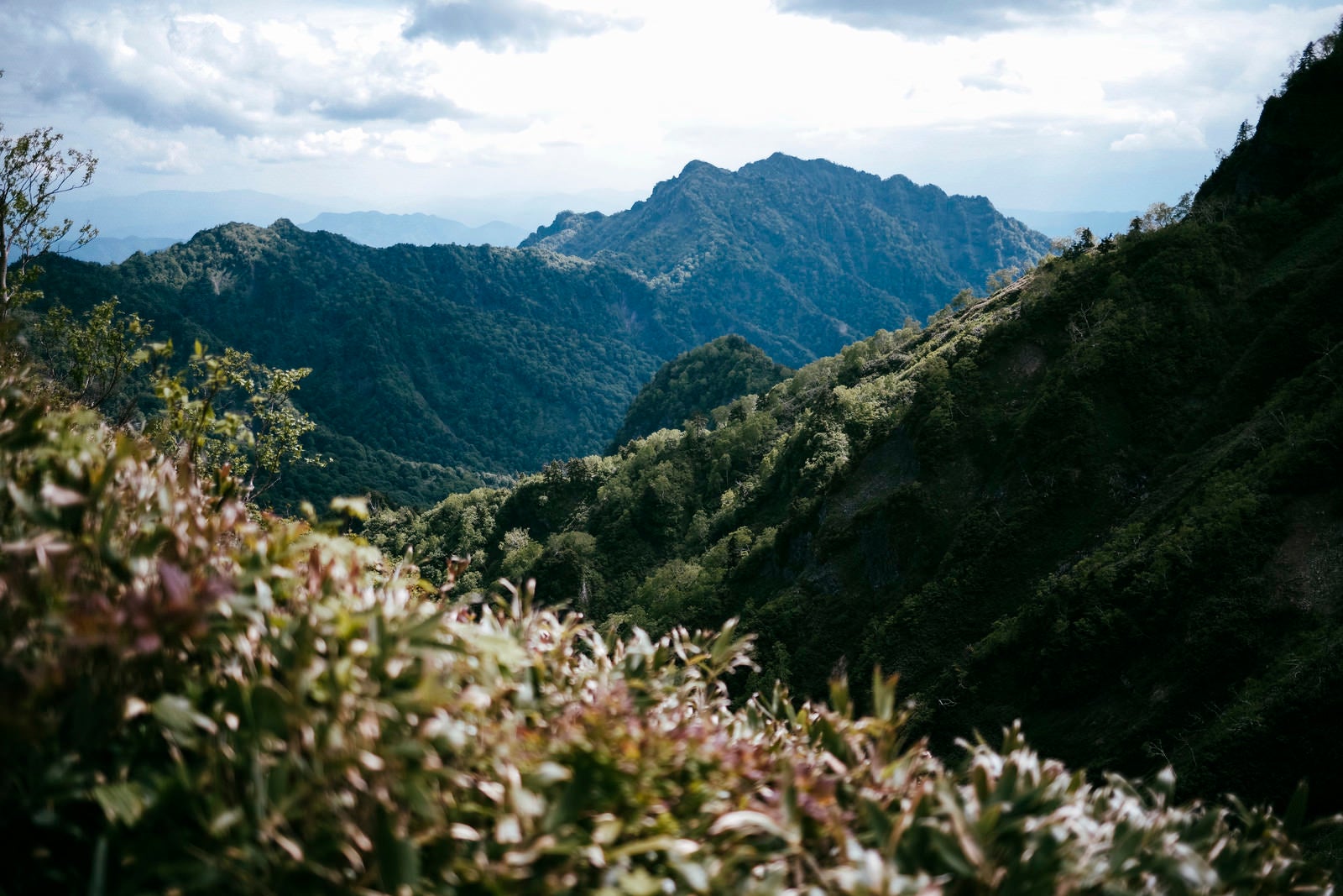 「高妻山から遠い戸隠山の景色」の写真