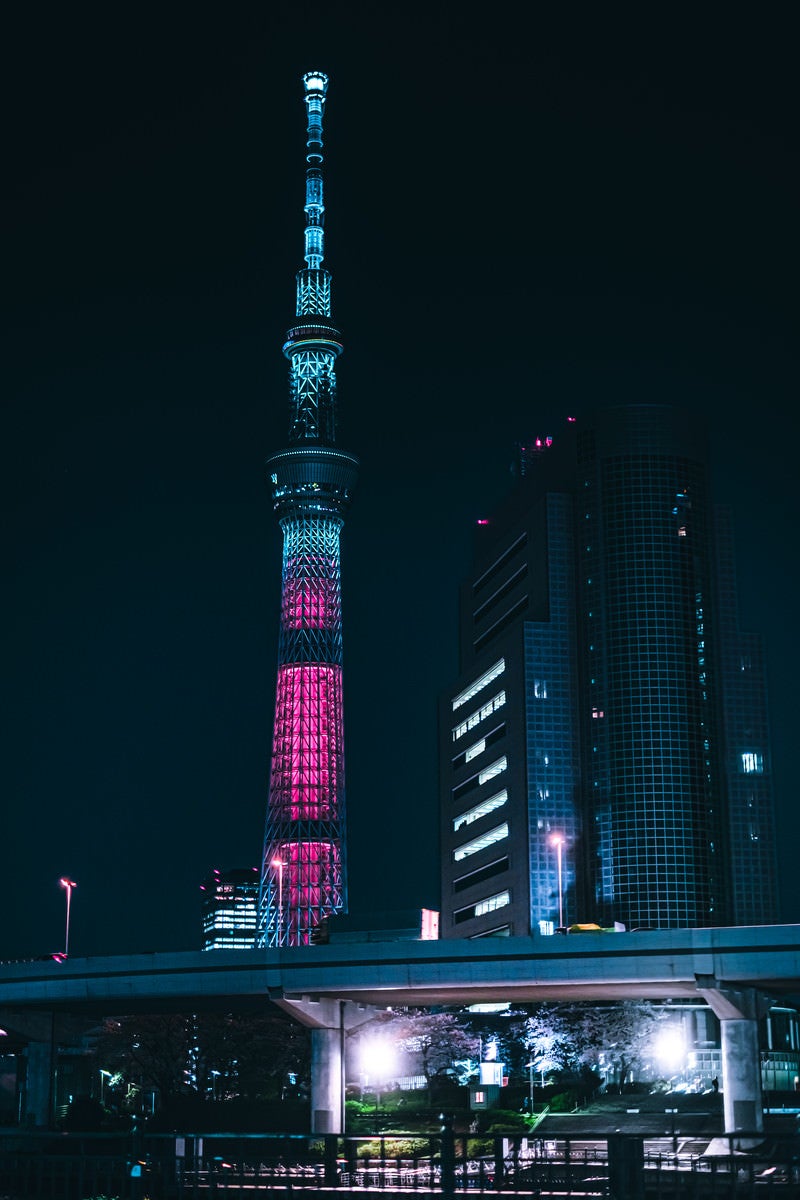 「ピンク色にライトアップされた東京スカイツリー」の写真