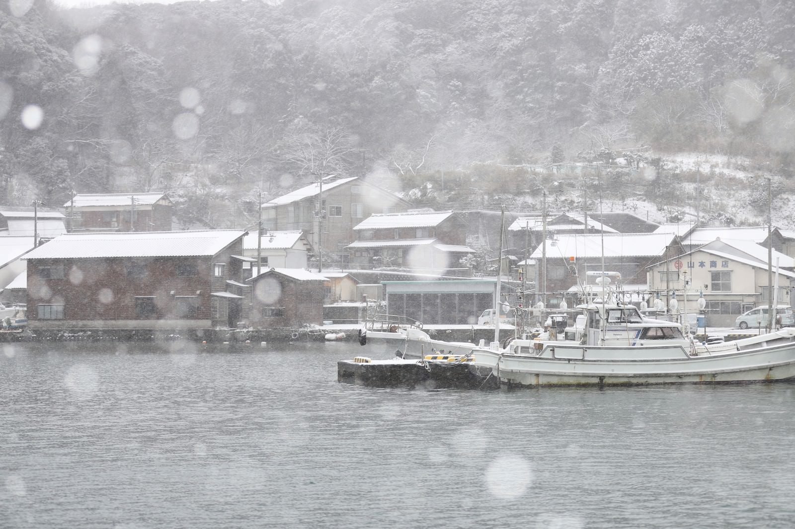 「漁港に舞う雪」の写真