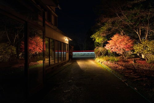 民家に反射する庭の紅葉の写真