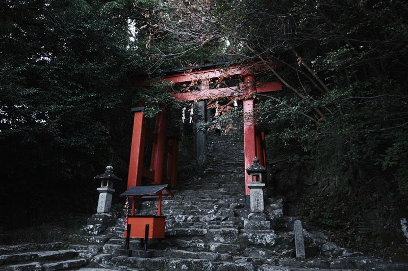 下から見上げた鳥居と石段（神倉神社）の写真