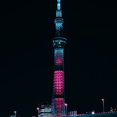 暗闇に浮かび上がるライトアップされた東京スカイツリーの写真
