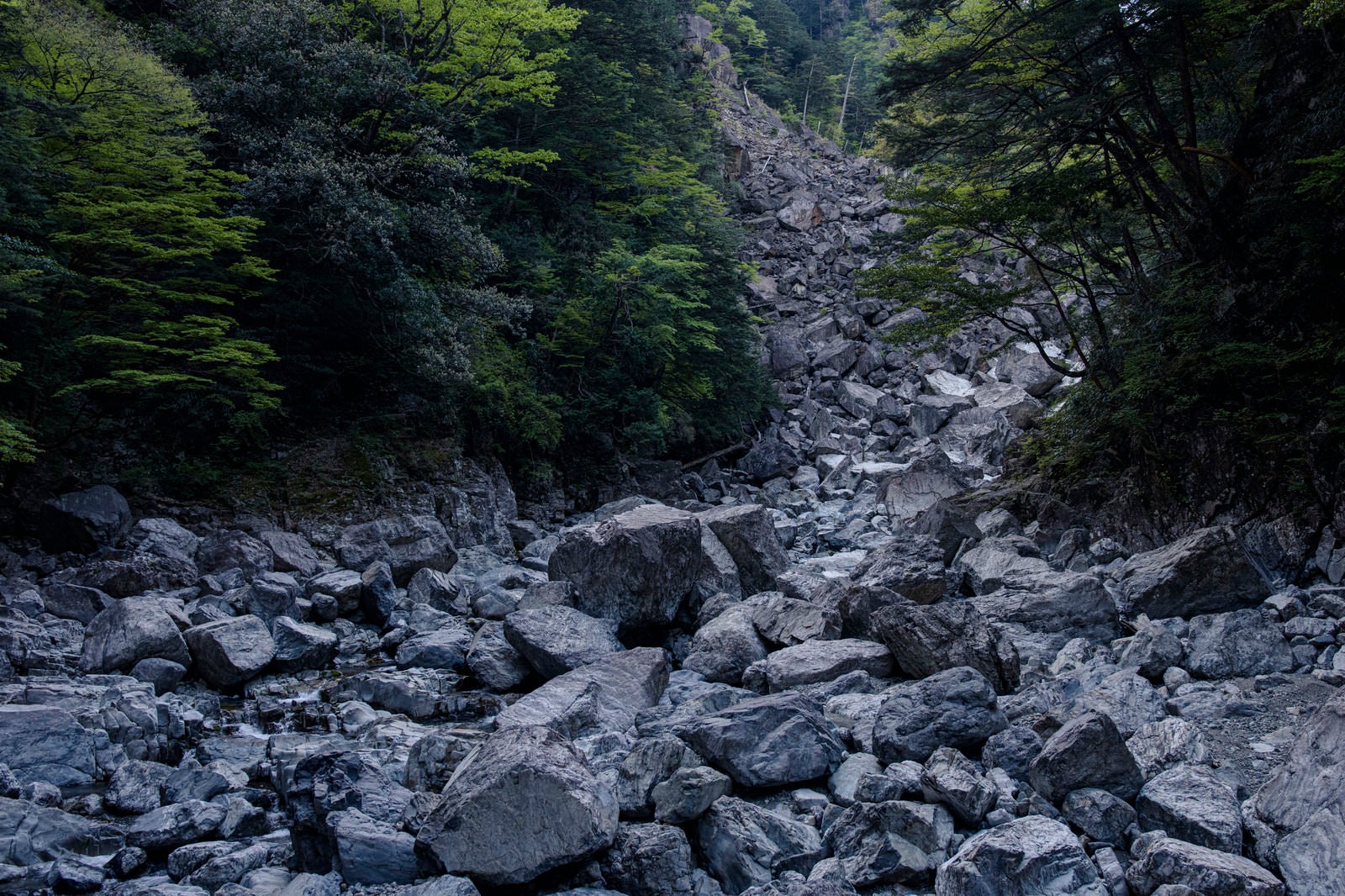 「瓦礫が積み重なる登山道（大台ヶ原大杉谷ルート）」の写真