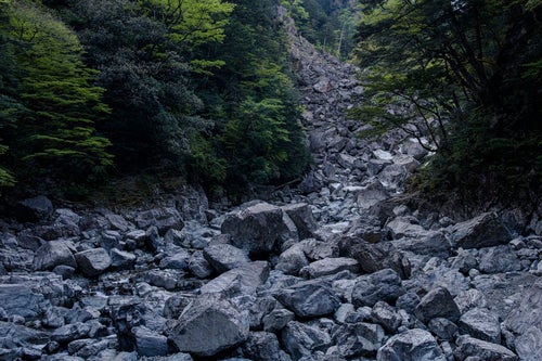 瓦礫が積み重なる登山道（大台ヶ原大杉谷ルート）の写真