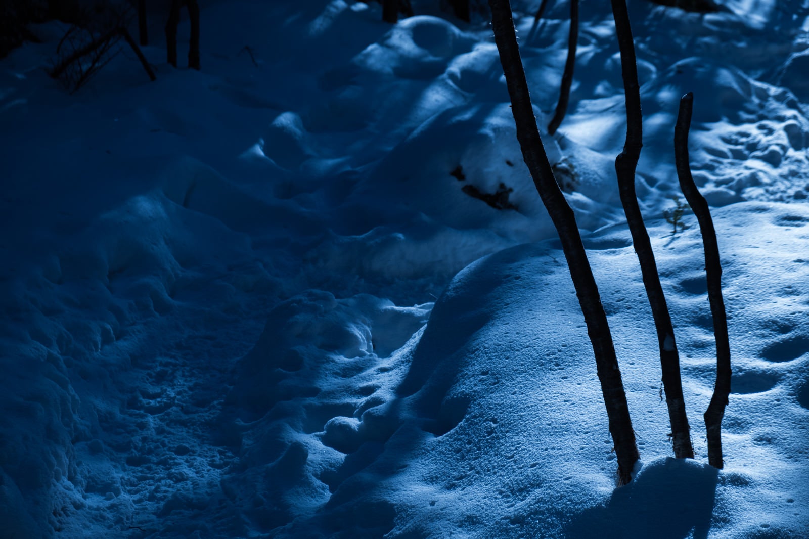「美しさと不安が入り交じる夜の冬山登山道」の写真