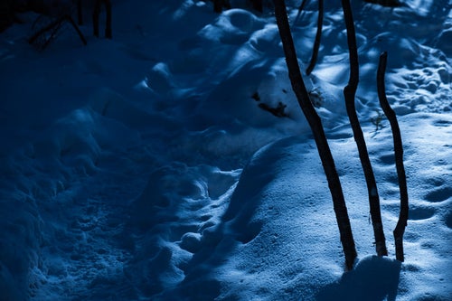 美しさと不安が入り交じる夜の冬山登山道の写真