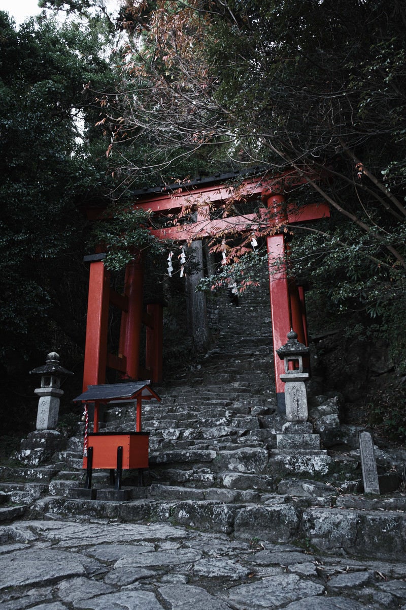 「急勾配の石段と神倉神社の鳥居（和歌山県新宮市）」の写真