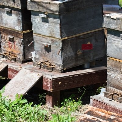 傾斜角、方向、高さなど計算されたミツバチの巣箱の写真