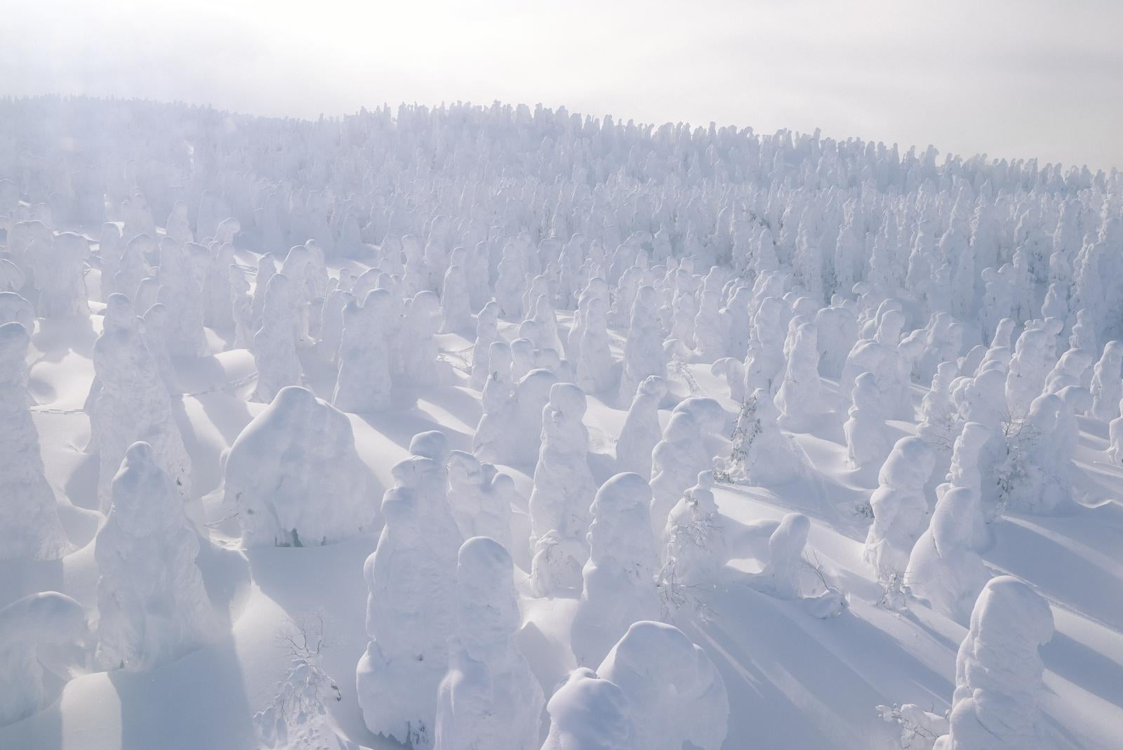 「樹氷林が創り出す雪山の絶景と冬景色」の写真