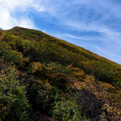 紅葉した木々に覆われた磐梯山の山頂方面の写真