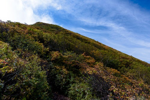 紅葉した木々に覆われた磐梯山の山頂方面の写真