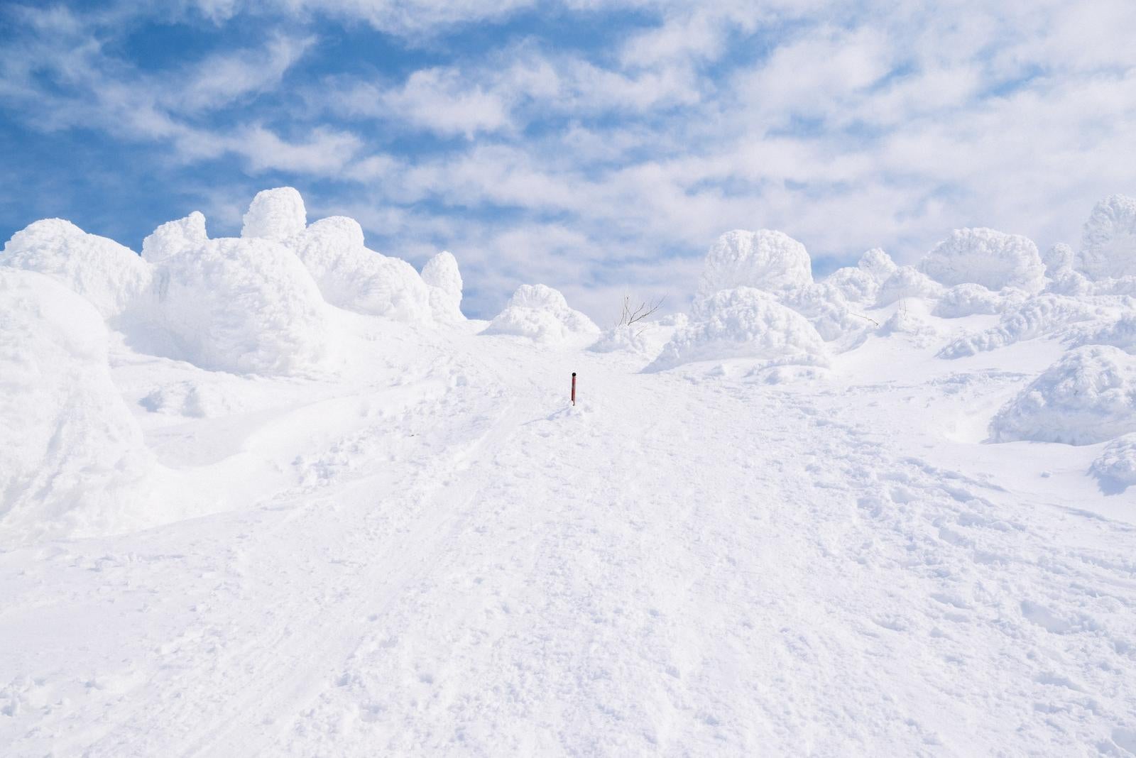 「踏み固められた登山道と小さな樹氷」の写真