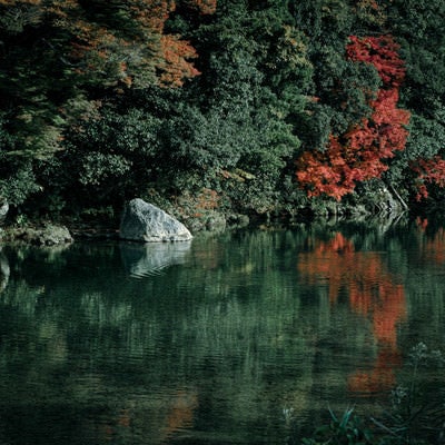 水面に映り込む紅葉した木々と波紋の写真