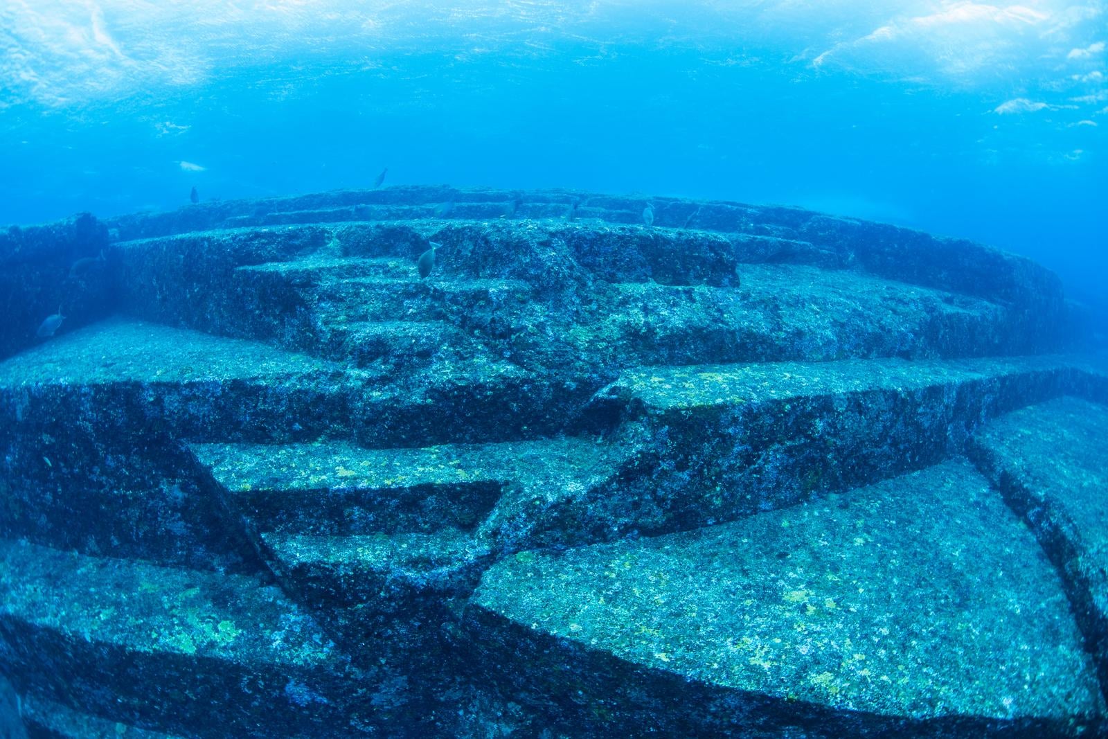 「神秘の深海 与那国島の海底遺跡の探査」の写真