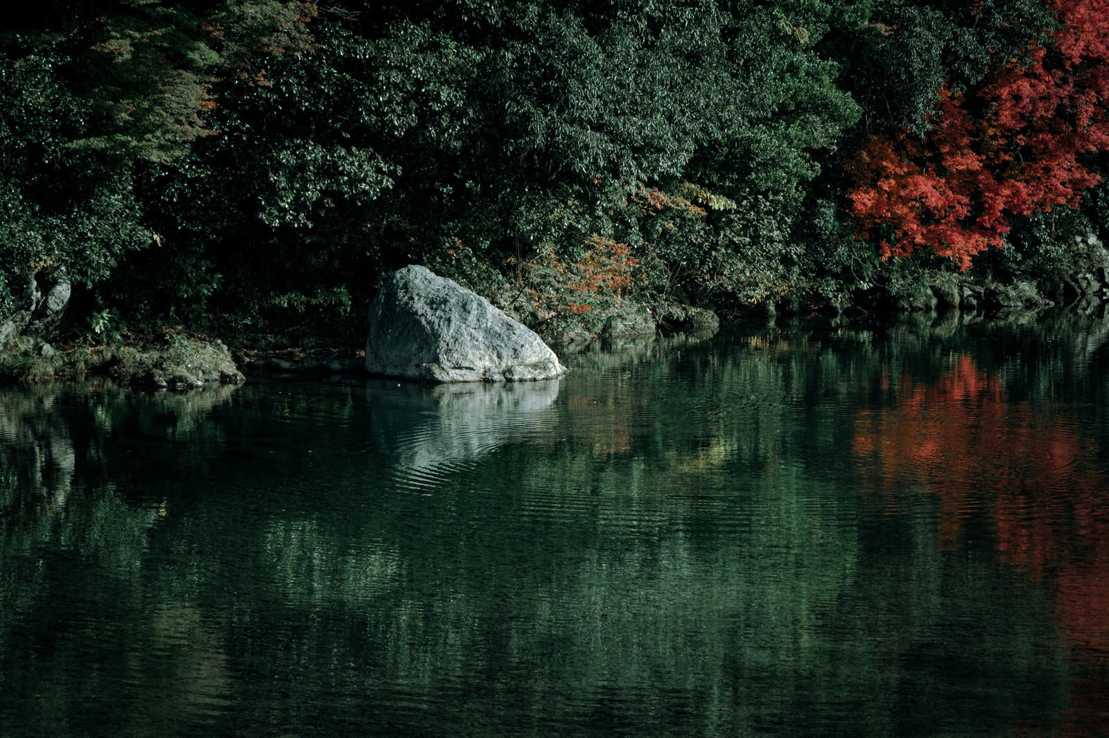 「水面に映る色付き始めた木々」の写真